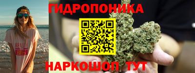 гидра Ипатово